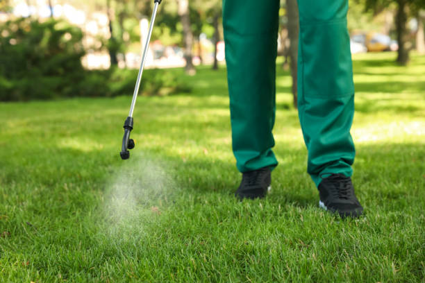 Best Residential Pest Control  in Pine Bluff, AR