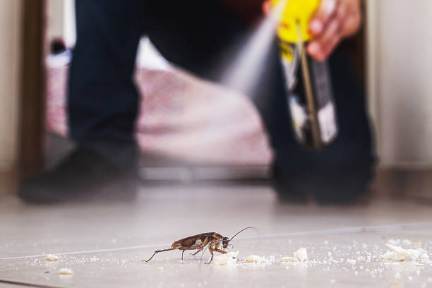 Best Local Pest Control Services  in Pine Bluff, AR