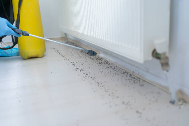 Best Rat Extermination Near Me  in Pine Bluff, AR