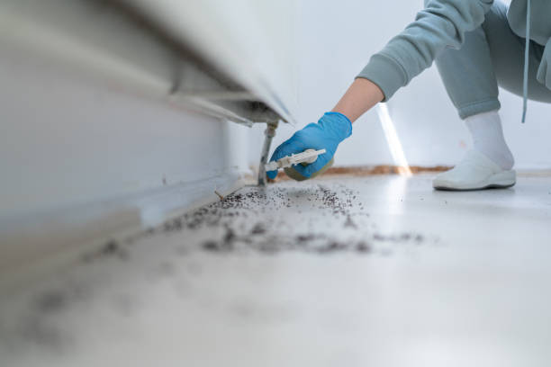 Best Emergency Pest Control  in Pine Bluff, AR