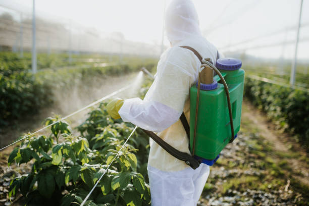 Pine Bluff, AR Pest Control Company